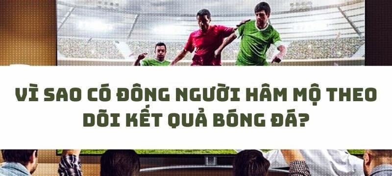 Vì sao người hâm mộ theo dõi kết quả bóng đá tại Bongdalu