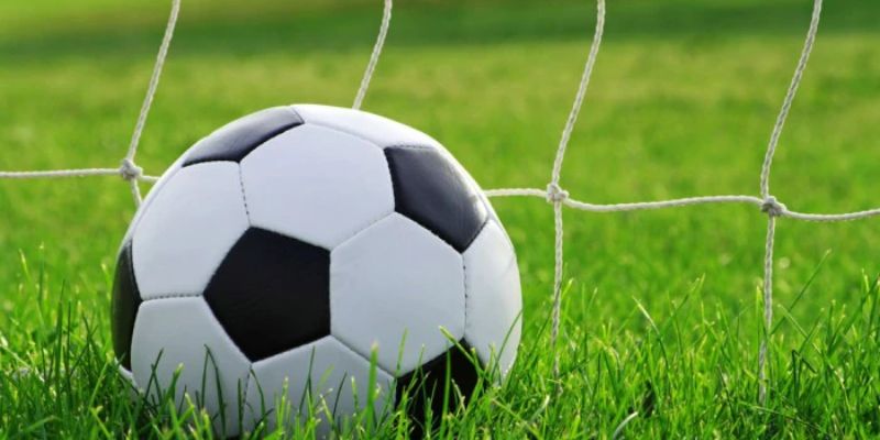 Tỷ số bóng đá Bongdalu | Xem tỷ số bóng đá hôm nay 151 Hướng dẫn theo dõi tỷ số tại trang web